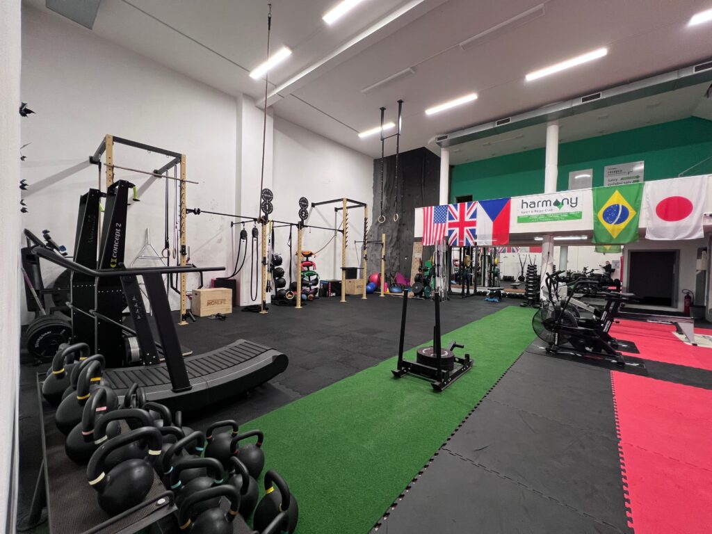 Opengym_Harmony_crossfit_hyrox_box_posilovna_pisek_9_web